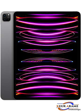 iPad Pro - M2 - 12.9 - 1 To - 5 G
