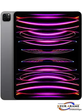 iPad Pro - M2 - 12.9 - 1 To - 5 G