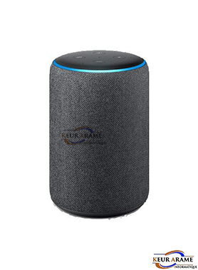 Echo Alexa