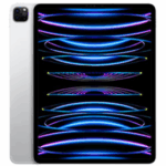 iPad Pro M2 - 11 Pouces - 256 Go - 5 G