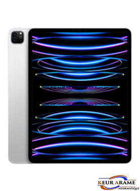 iPad Pro M2 - 11 Pouces - 1 To - 5 G