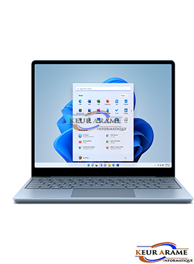 Surface Pro 9 - i5 - 256 Go - 16 Go