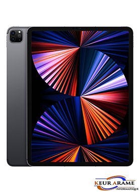 IPAD PRO 11" M1 (2021 / 2TO / 5G CELLULAR)