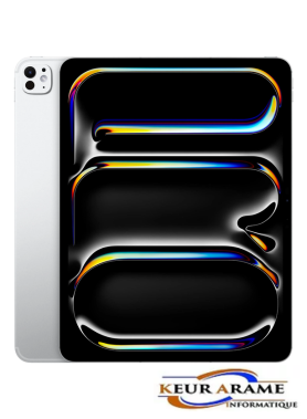 iPad PRO M4 13.9 - 1 To