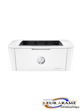 Imprimante HP 111w (Wi-Fi) noir et blanc