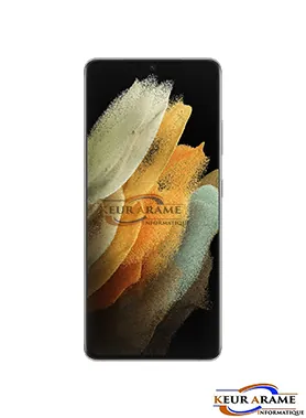 Samsung Galaxy S 21 - 128 Go