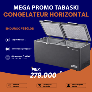 Congélateur Horizontal ENDURO 580 Litres - Arame Business Trading