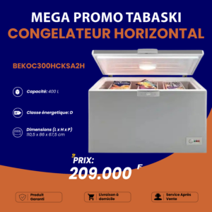 Congélateur Beko Horizontal 400 litres - Arame Business Trading