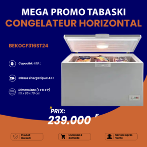 Congélateur Horizontal BEKO 450 Litres - Arame Business Trading