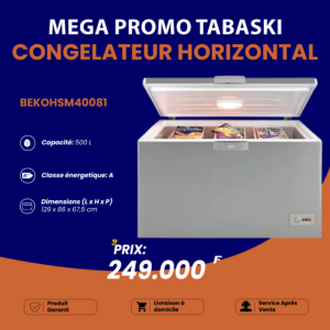 Congélateur Beko Horizontal 500 litres - Arame Business Trading